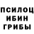 Галлюциногенные грибы мицелий Dob Bouchra