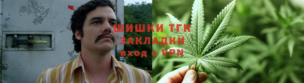 спайс Лабытнанги