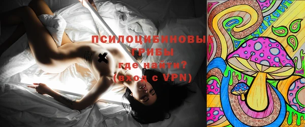 гидропоника Ладушкин