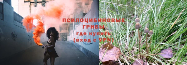 индика Балашиха