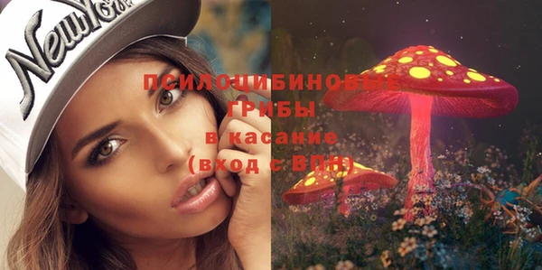 гидропоника Ладушкин