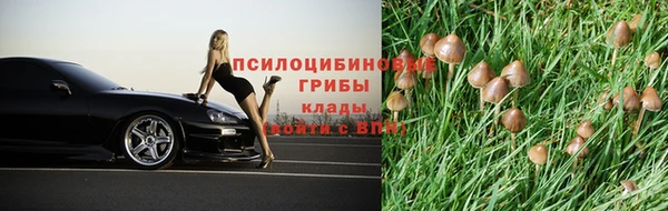 гидропоника Ладушкин