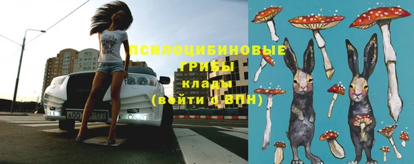 гидропоника Ладушкин