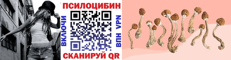Псилоцибиновые грибы Magic Shrooms  Брюховецкая 