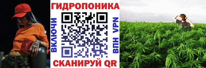 продажа наркотиков  Брюховецкая  Шишки марихуана VHQ 